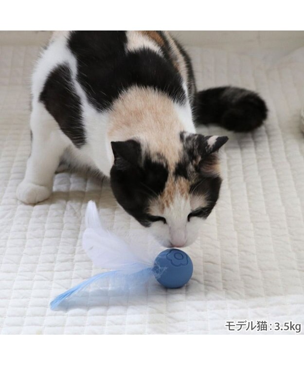 PET PARADISE ペットパラダイス 猫シリコン ボール 《ブルー》 ブルー