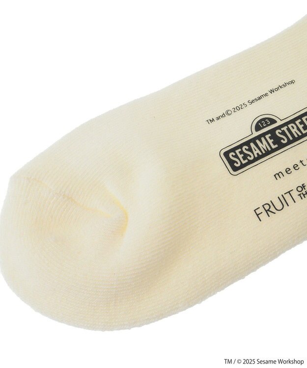 Green Parks セサミストリートミーツオブザルーム　ソックス Purple