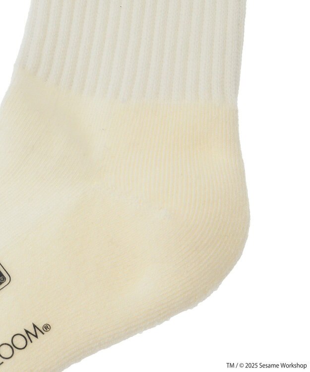 Green Parks セサミストリートミーツオブザルーム　ソックス Purple