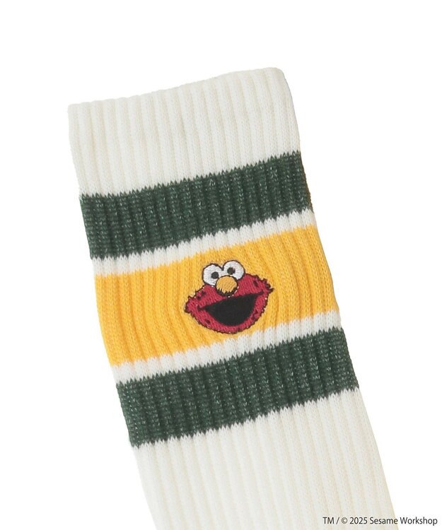 Green Parks セサミストリートミーツオブザルーム　ソックス Green