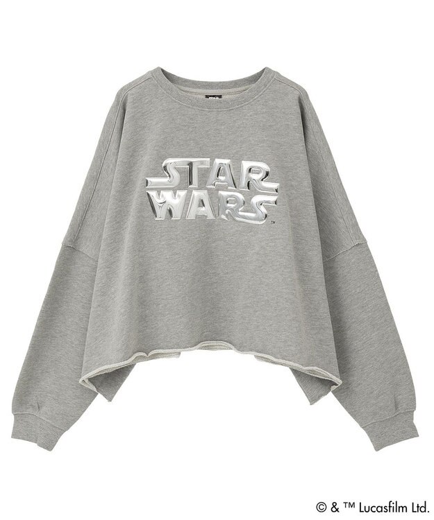 Green Parks ＳＴＡＲ　ＷＡＲＳ／メタルプリントスウェット Gray Mixture