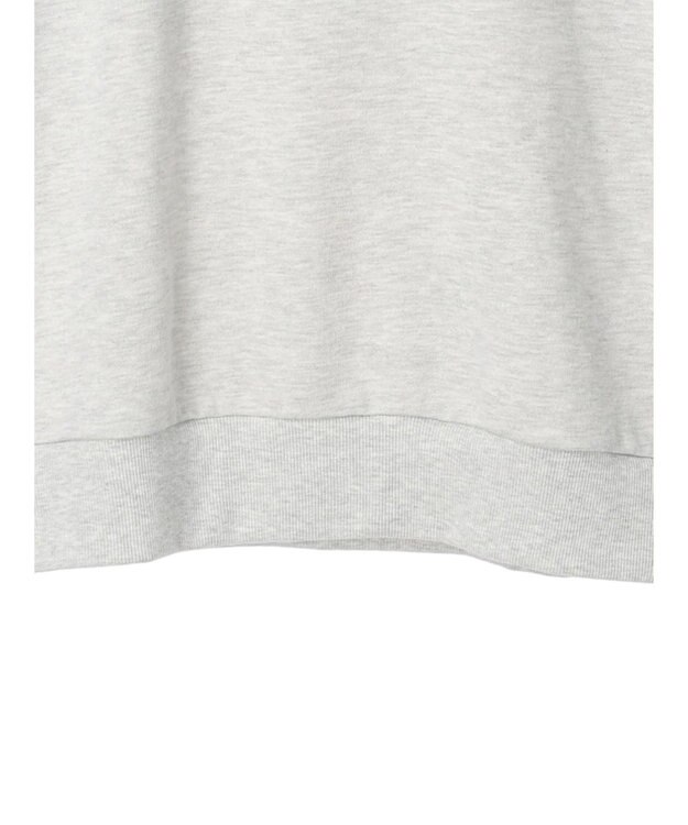 Green Parks Villains／フロントフェイス裏毛プルオーバー Oatmeal