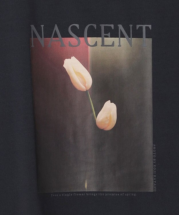 UNFILO MENS 多機能CLEANフォトTEE FLOWER