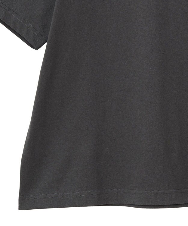 AMERICAN HOLIC サガラ刺繍Ｔシャツ Charcoal Gray