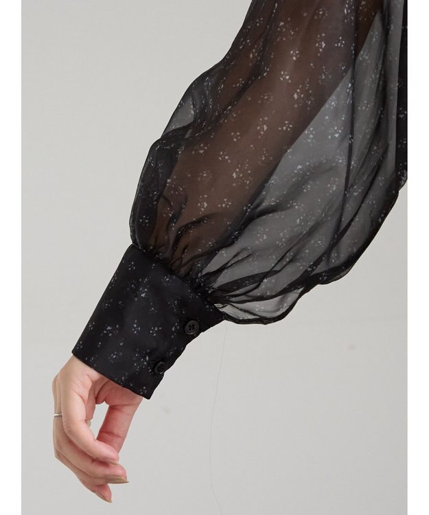 Te chichi シアーフラワーボリュームスリーブブラウス ブラック