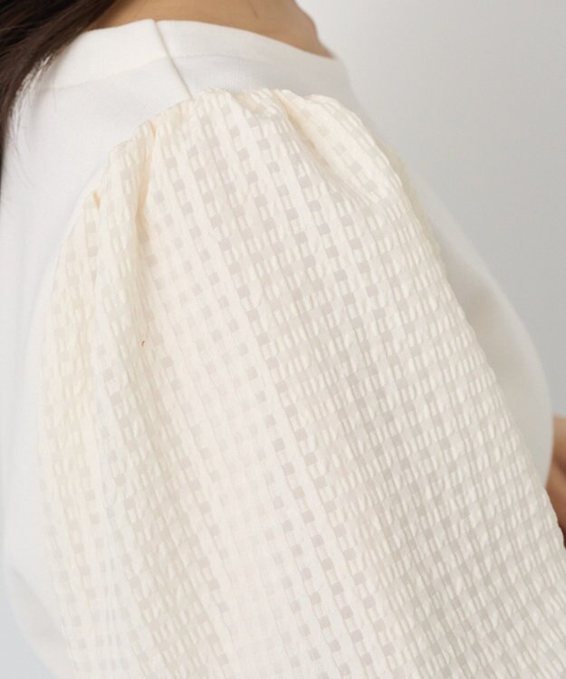 earth music&ecology シアーチェックスリーブプルオーバー Ivory