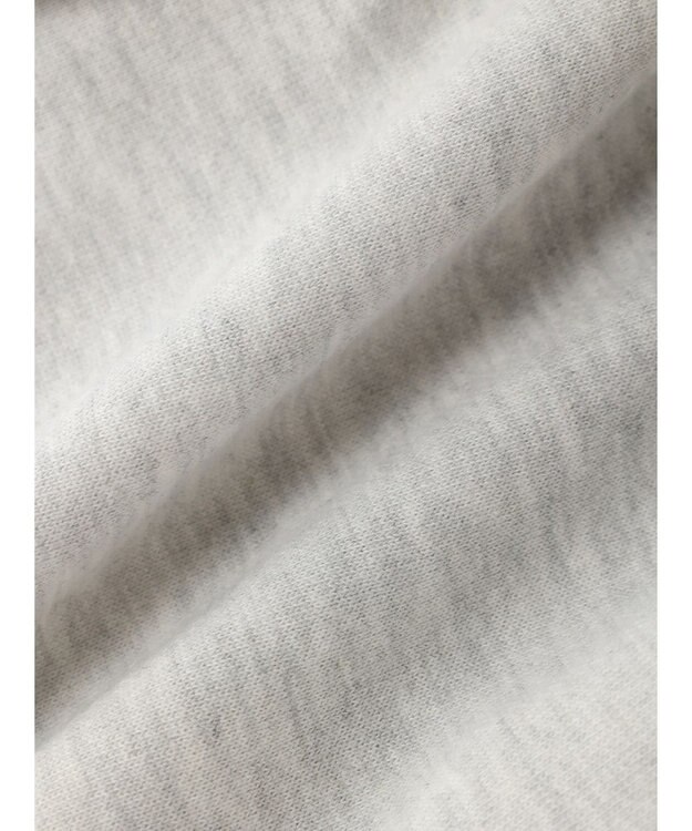 Green Parks Villains／フロントフェイス裏毛プルオーバー Oatmeal