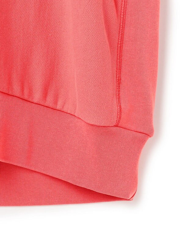 J.PRESS MEN 【WEB・一部店舗限定】Vintage J.PRESS Logo Sweatshirt レッド系