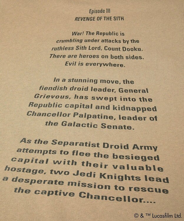 Green Parks ＳＴＡＲ　ＷＡＲＳ／メタルプリントスウェット Beige