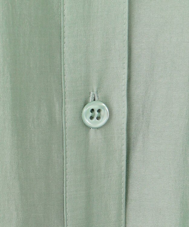 BEIGE， 【洗える】AMARYLLIS / シアーパフオーバーサイズブラウス Green