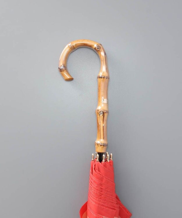 AURORA 【MACKINTOSH LONDON（マッキントッシュ ロンドン）】アンドリュー柄雨傘（長傘） コーラル