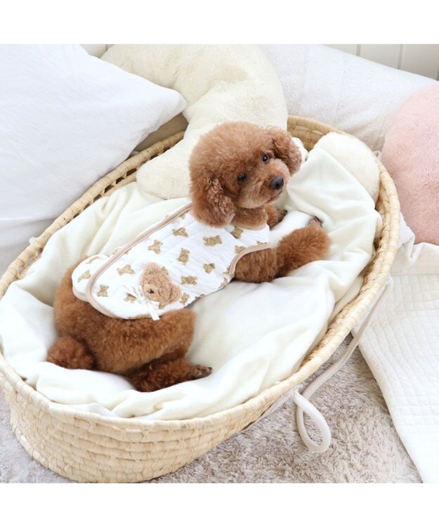 PET PARADISE ペットパラダイス くまちゃん ふわりと キルトベスト 小型犬 超小型犬 くまちゃん