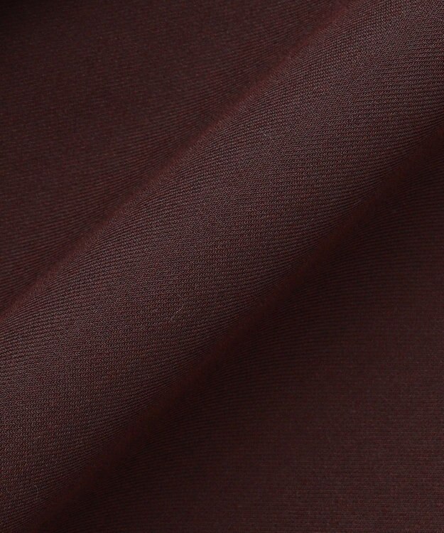 ICB L 【洗える】 シアービエラ フレアスカート ダークブラウン系