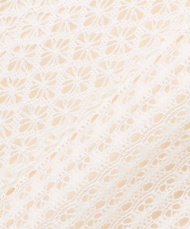 ANY L レーススカート エクリュ