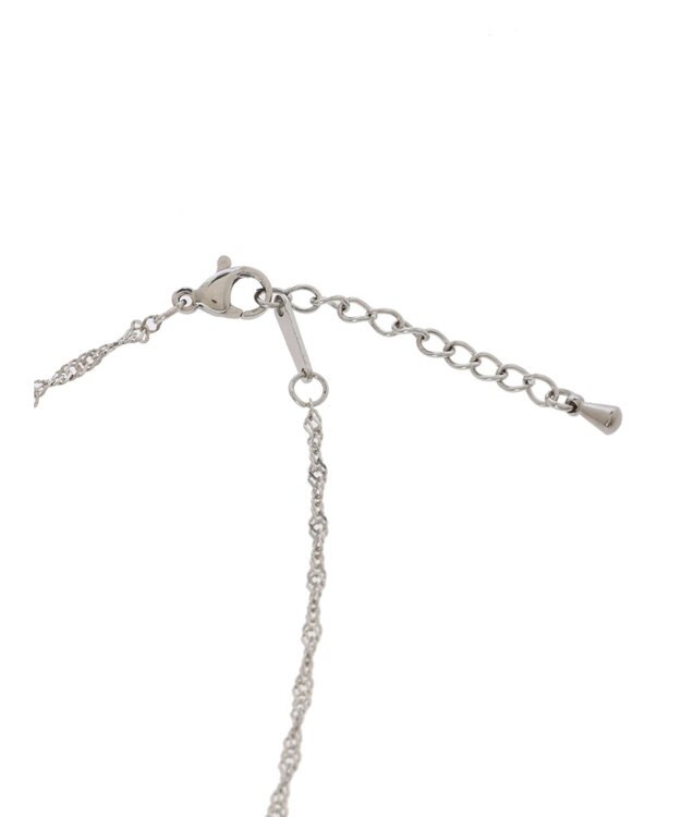 Green Parks ・ＨＡＬＦ　ＴＩＭＥ　サージカルチェーンネックレスＢ Silver