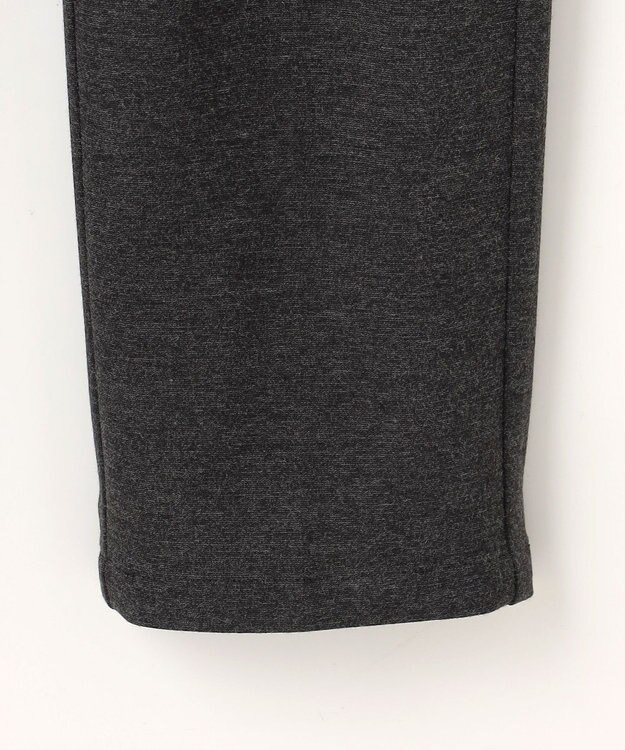 23区GOLF 【MEN】レーヨンナイロンポンチパンツ グレー系