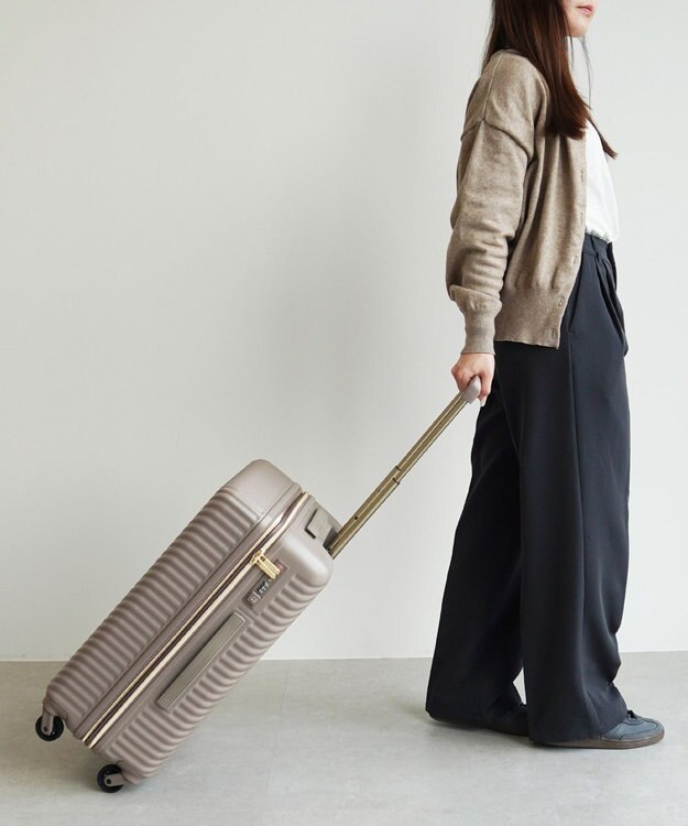 ACE BAGS & LUGGAGE 【雑誌掲載】 HaNT×Jewelna Rose コラボ スーツケース Mサイズ 06822 ハント ジュエルナローズ グレージュ