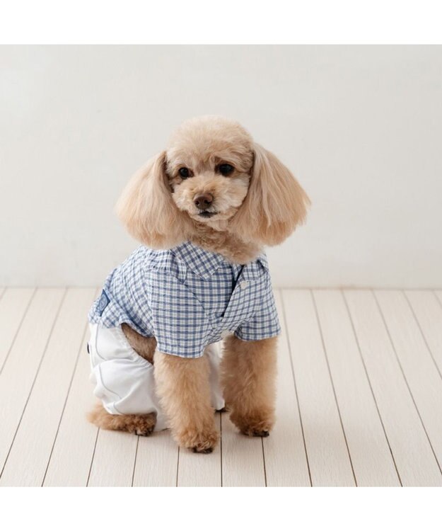 PET PARADISE J.PRESS パンツ つなぎ 《チェック》 小型犬 ホワイト×ブルー