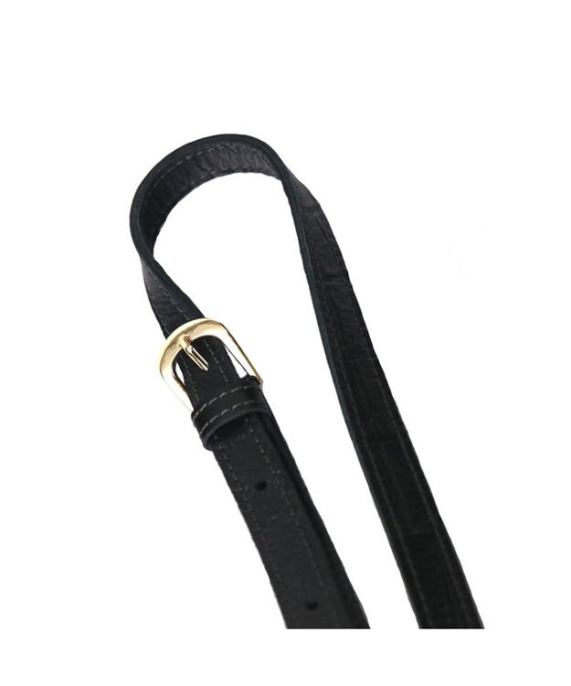 Regalo Felice 【お財布機能付き / 人気商品がリニューアル】ポシェット / REGALO BK(ブラック）