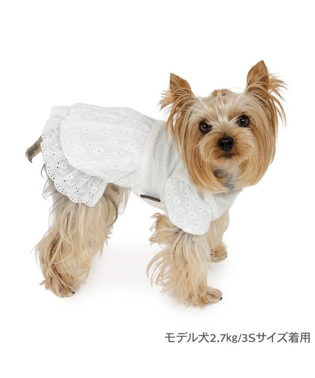 PET PARADISE ペットパラダイス レース バルーン ワンピース 《ホワイト》 小型犬 ホワイト