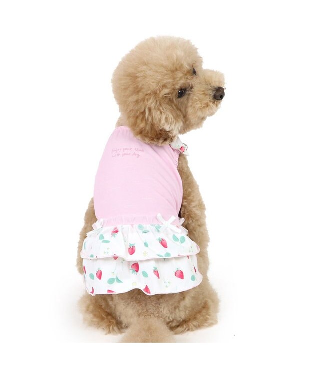 PET PARADISE ペットパラダイス 接触冷感 ワンピース 《苺柄》 小型犬 苺柄