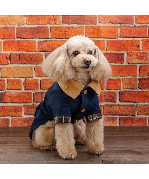 PET PARADISE ペットパラダイス 襟付き ジャケット 小型犬 ネイビー