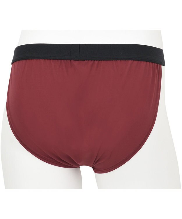 WACOAL MEN WACOAL MEN 【ふんどしNEXT】 ブリーフ メンズ 締めつけにくく通気性のよいふんどしスタイル 前閉じ WF4020 /ワコールメン ワイン