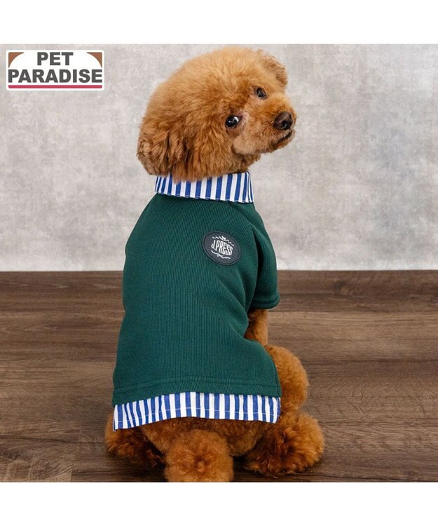 PET PARADISE J.PRESS フライス ポロシャツ 小型犬 ダークグリーン