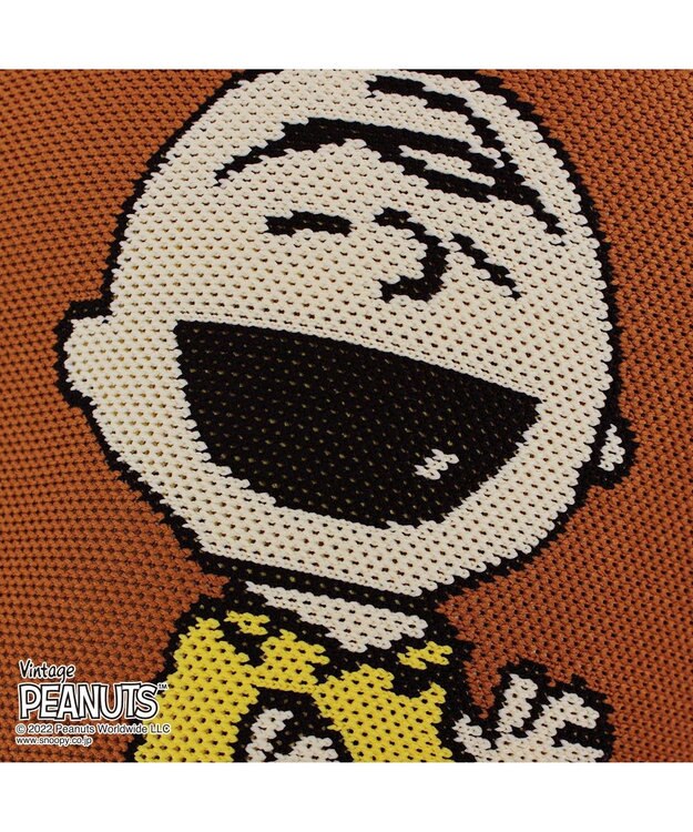 ROOTOTE 8242【スヌーピー：インテリアトート】/ IP.ポーノ.ベビールー.ピーナッツ-6T 03：チャーリー・ブラウン