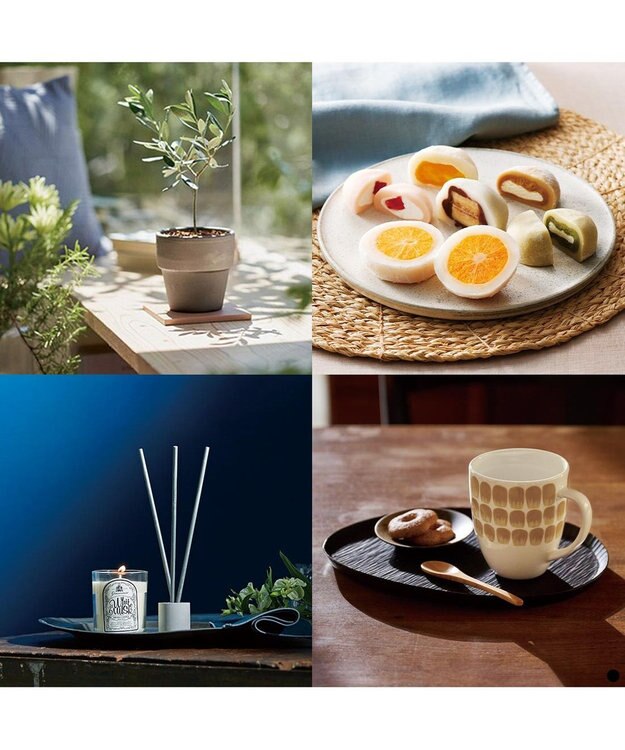 PRESENTERS ROOM Mistral(ミストラル) e-order choice(カードカタログ) ＜Oregano(オレガノ)＞ -