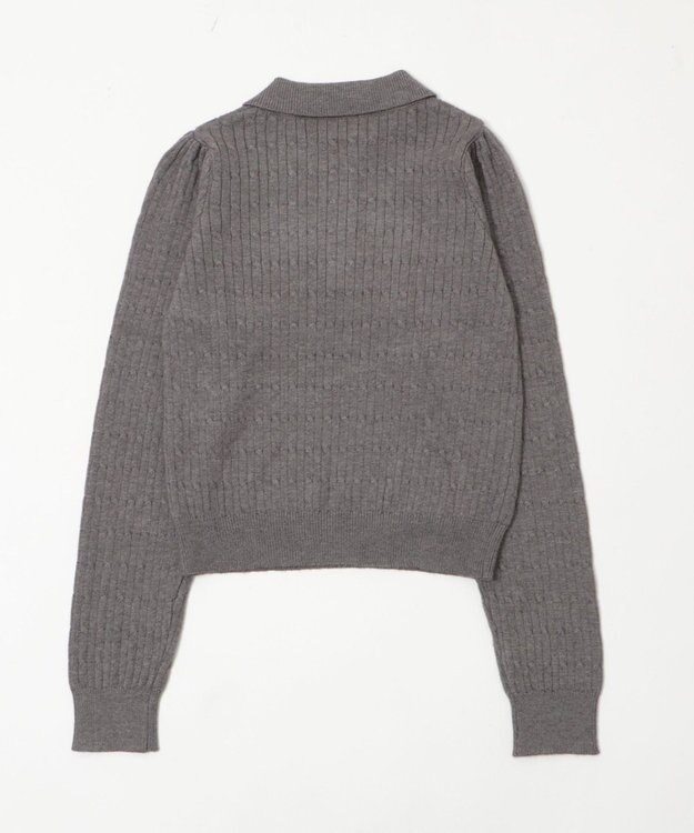 WEGO 【WEB限定/25年秋冬新作】別注USPOLOケーブルニットポロ グレー