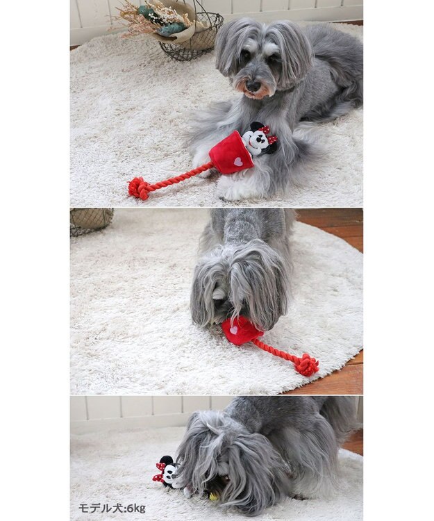 PET PARADISE ディズニー飛び出すロープトイ 《ミッキー/ミニー/プルート》 ミニー