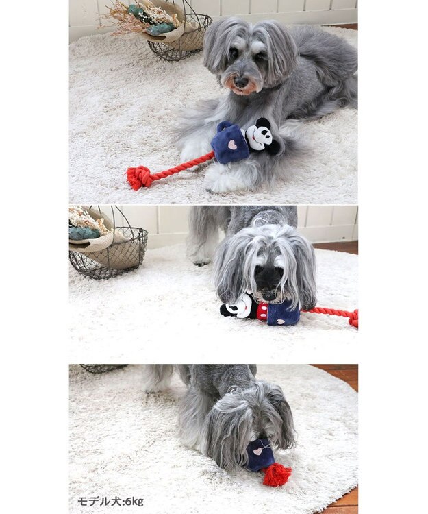 PET PARADISE ディズニー飛び出すロープトイ 《ミッキー/ミニー/プルート》 ミッキー