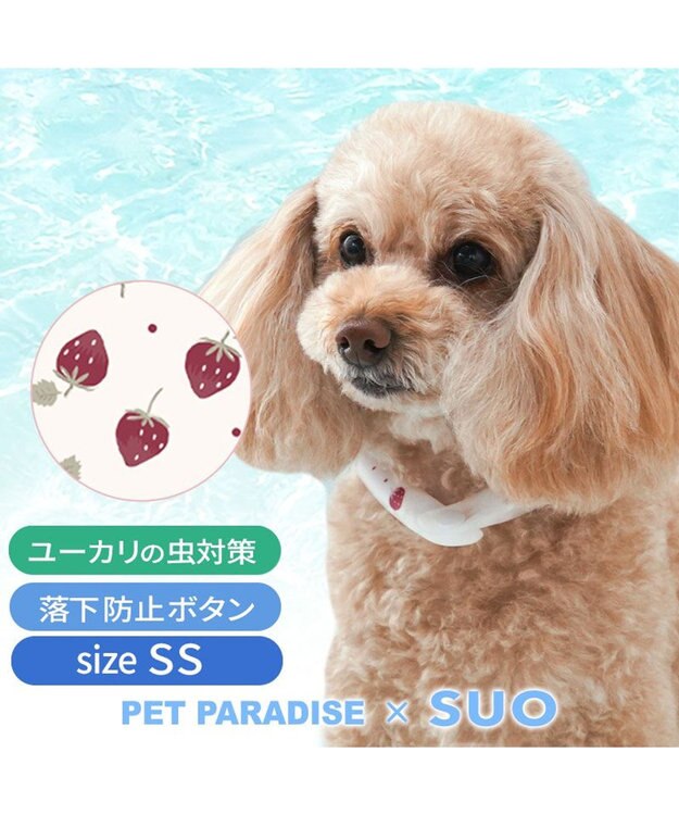 PET PARADISE ペットパラダイス 28℃クールリング  《いちご》 ＳＳ 小型犬 いちご柄