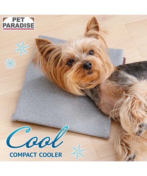 PET PARADISE ペットパラダイス  コンパクトクーラー グレー 2026 グレー