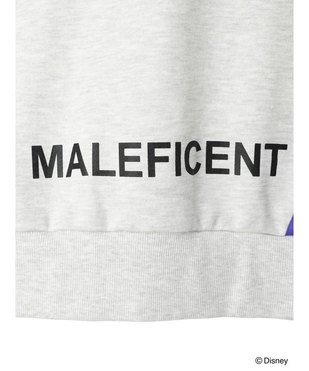 Green Parks Villains／フロントアート裏毛プルオーバー Oatmeal