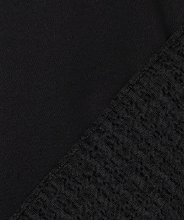 J.PRESS LADIES L 【WEB限定カラーあり】レイヤードフレア カットソー 【WEB限定カラー】ブラック系