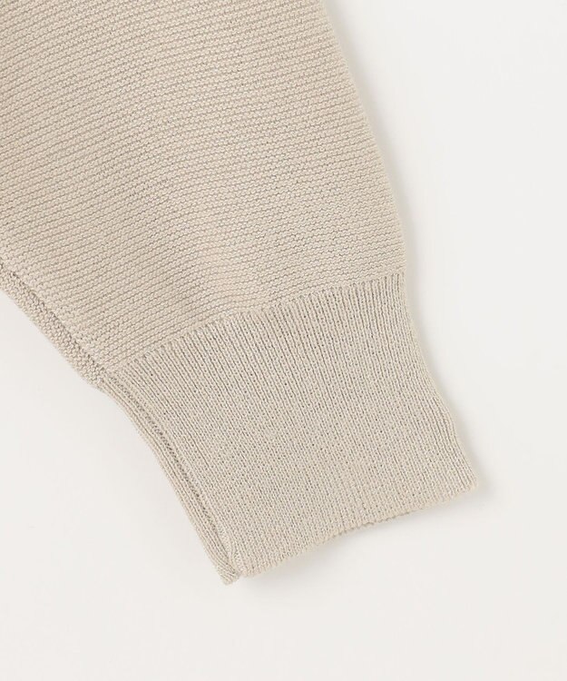 ANY 【洗濯機可】Ｖネックラメガーターニット サンドベージュ