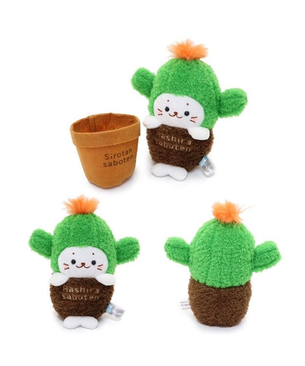 Mother garden しろたん サボテン マスコット 《柱サボテン》 柱サボテン