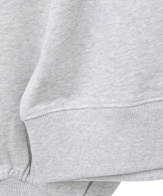 AMERICAN HOLIC ＥＶＡＮＳＴＯＮ　ミニ裏毛プルオーバー Light Gray Mixture