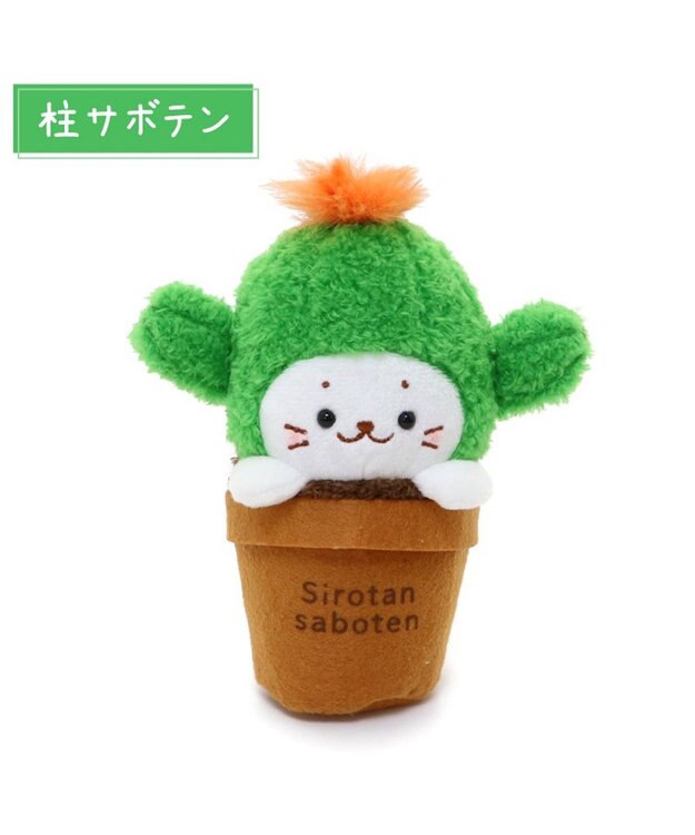 Mother garden しろたん サボテン マスコット 《柱サボテン》 柱サボテン