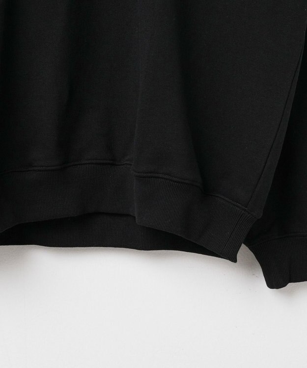 WEGO ヘビーウエイト刺繍グラフィックプルオーバー ブラック