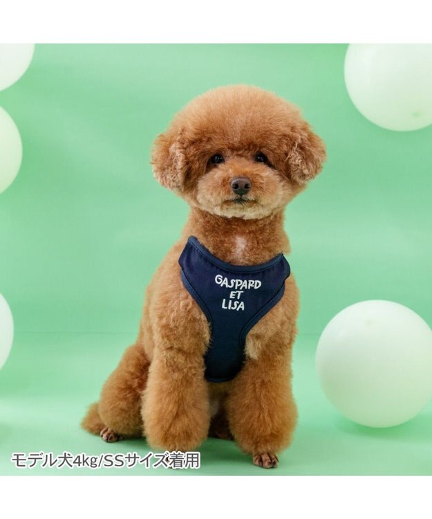 PET PARADISE リサとガスパール マスコット付きハーネス 《ハート柄》 Ｓ ネイビー