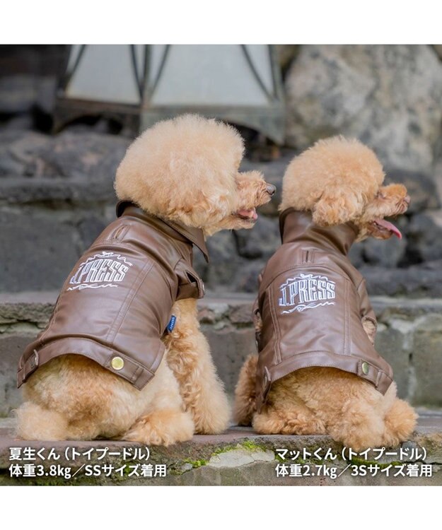 PET PARADISE J.PRESS フェイクレザー ジャケット 小型犬 茶系