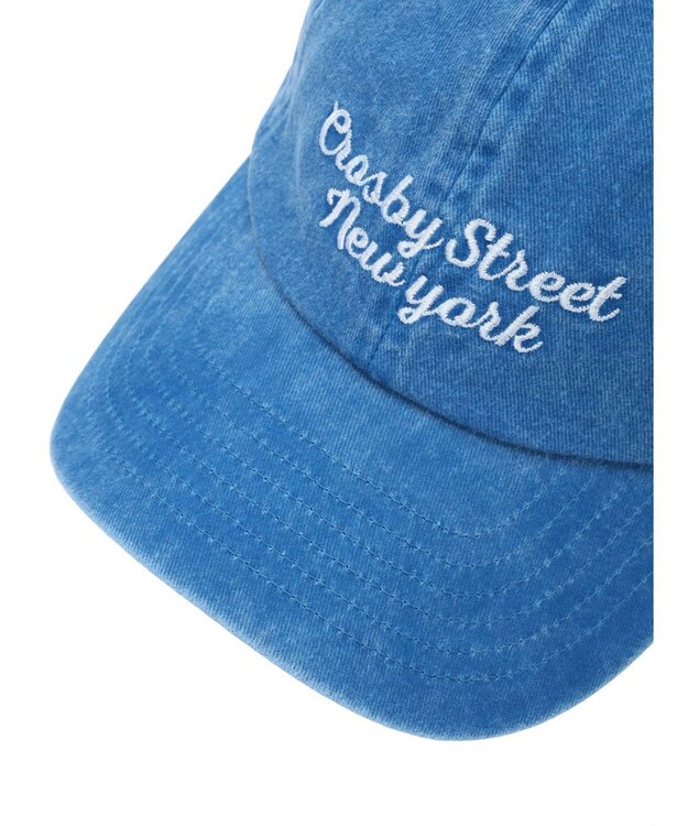 Green Parks ・ＴＯＲＣＨ　ピグメントロゴＣＡＰ Black