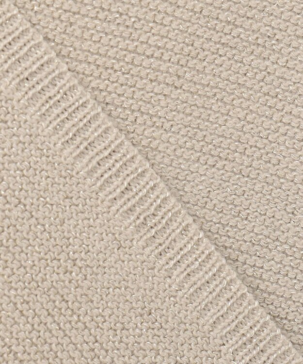 ANY 【洗濯機可】Ｖネックラメガーターニット サンドベージュ