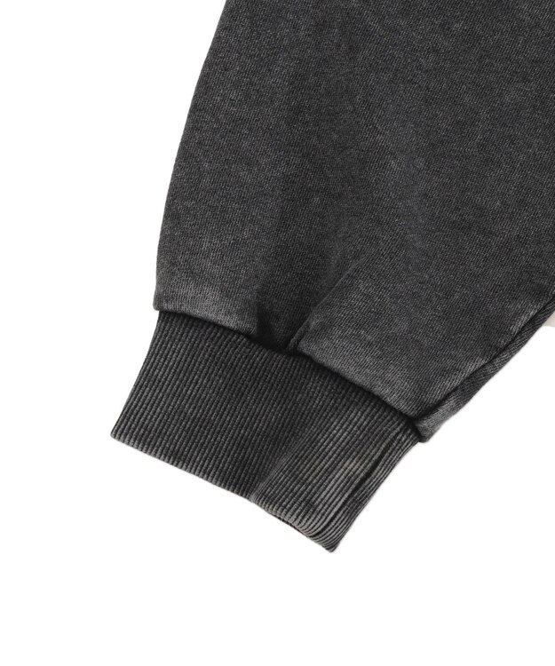 WEGO パウダーブリーチスタッズZIPパーカー スミクロ