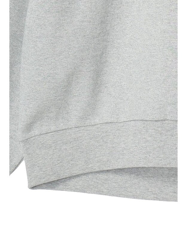 AMERICAN HOLIC 発泡ロゴポンチプルオーバー Light Gray Mixture