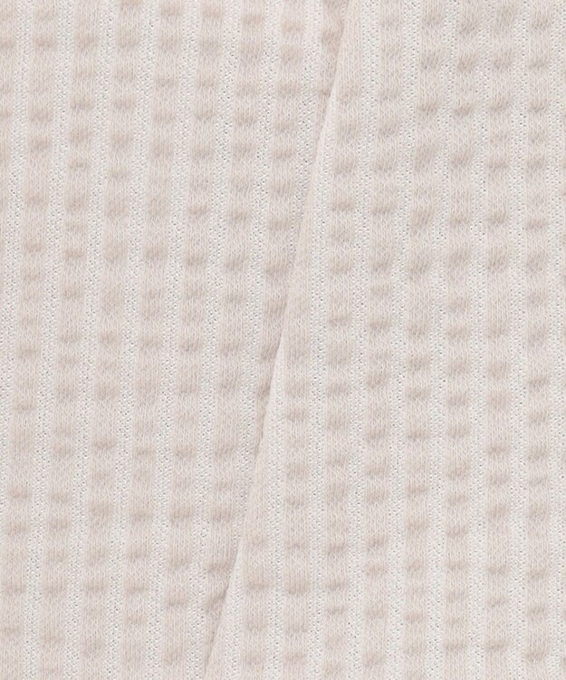 J.PRESS LADIES L 【WEB限定カラーあり・抗菌消臭・吸水速乾】サッカージャージー キーネック カットソー ベージュ系1