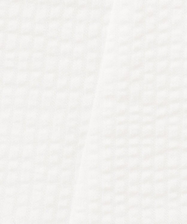 J.PRESS LADIES L 【WEB限定カラーあり・抗菌消臭・吸水速乾】サッカージャージー キーネック カットソー ホワイト系